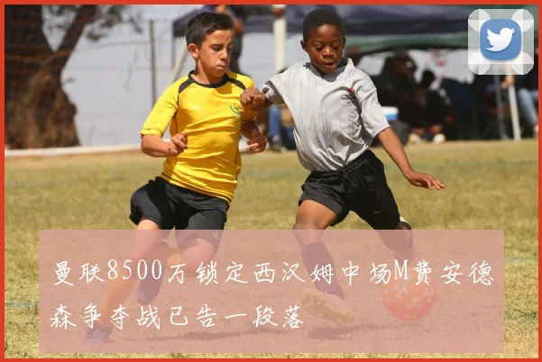 曼联8500万锁定西汉姆中场M费安德森争夺战已告一段落
